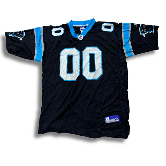 NFL Carolina Panthers #00 Custom Name Jersey | XL