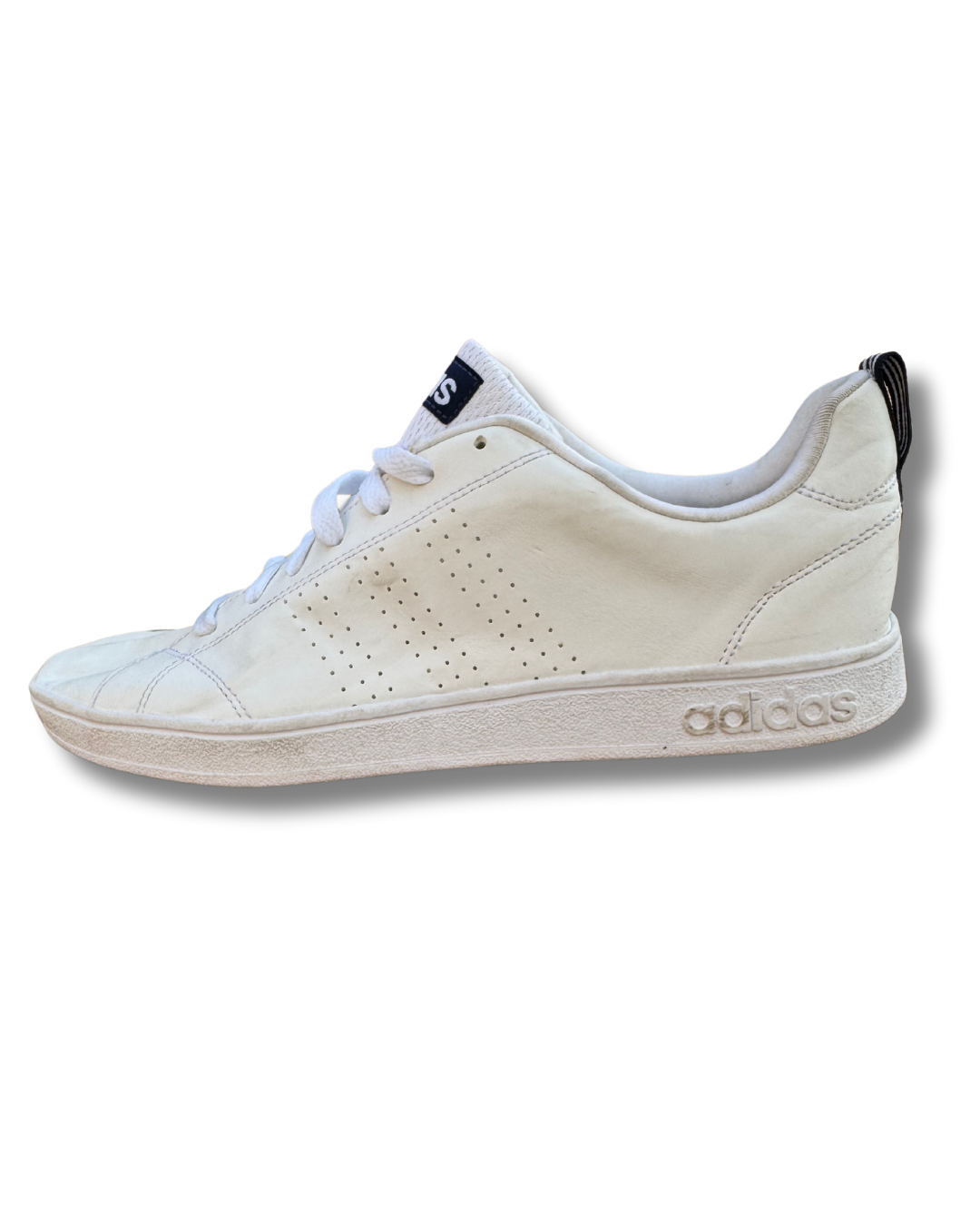 Adidas Neo Sneakers | White | US 9.5