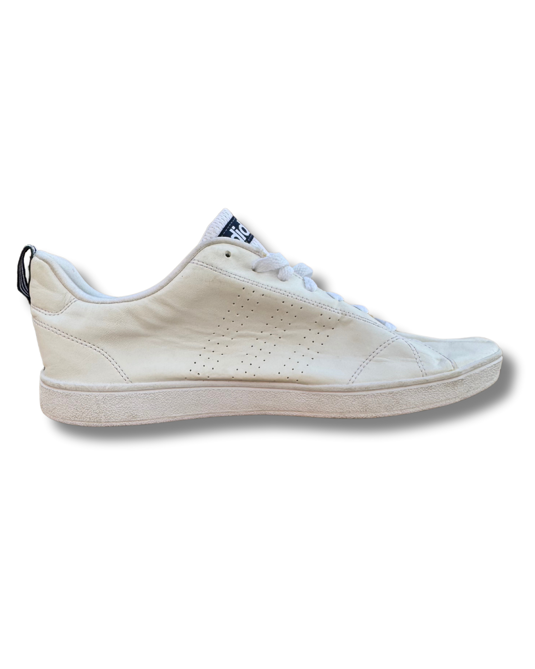 Adidas Neo Sneakers | White | US 9.5