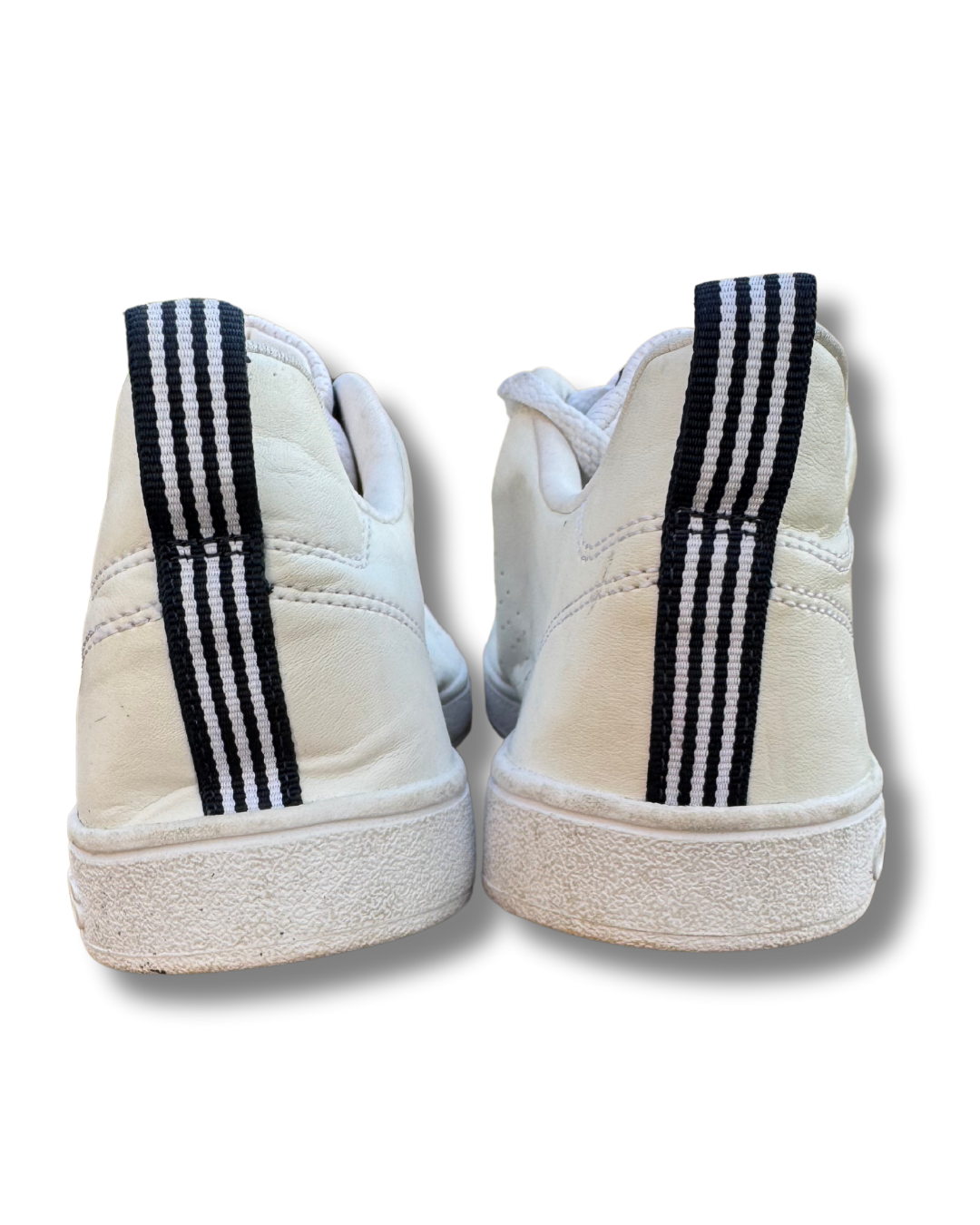 Adidas Neo Sneakers | White | US 9.5