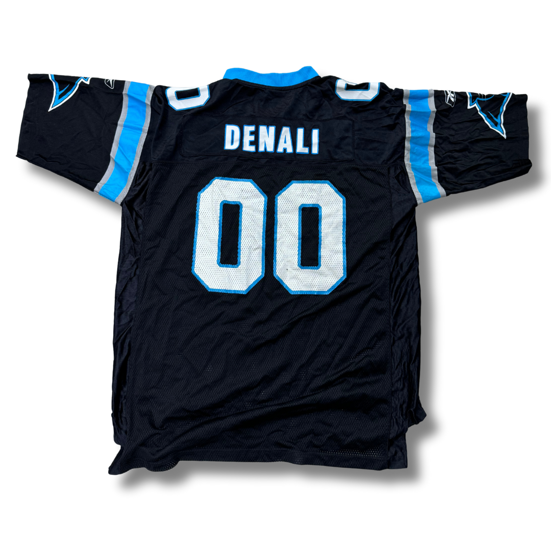 NFL Carolina Panthers #00 Custom Name Jersey | XL